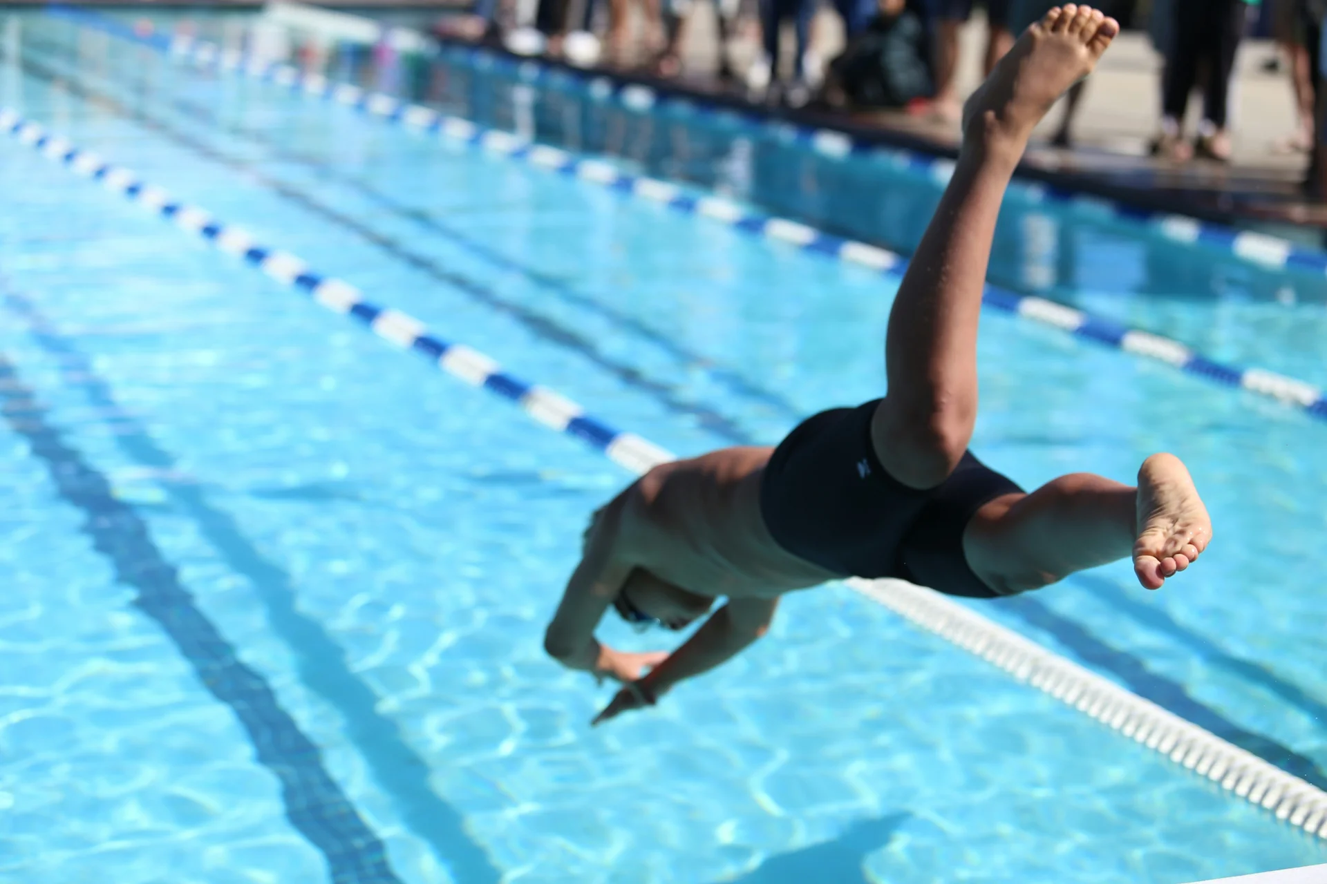 Natation