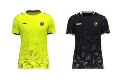 MAILLOT SONIC 