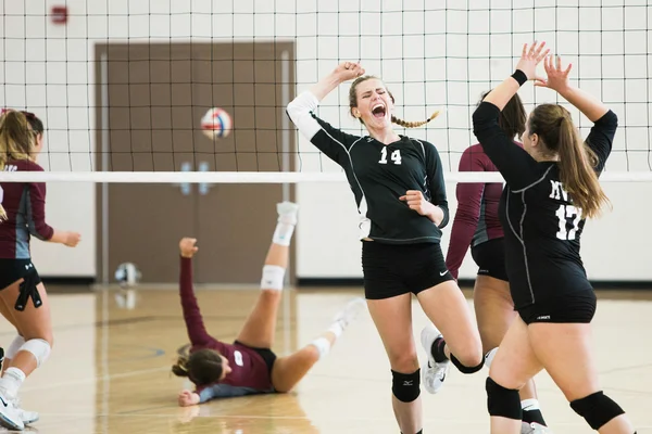 Volley